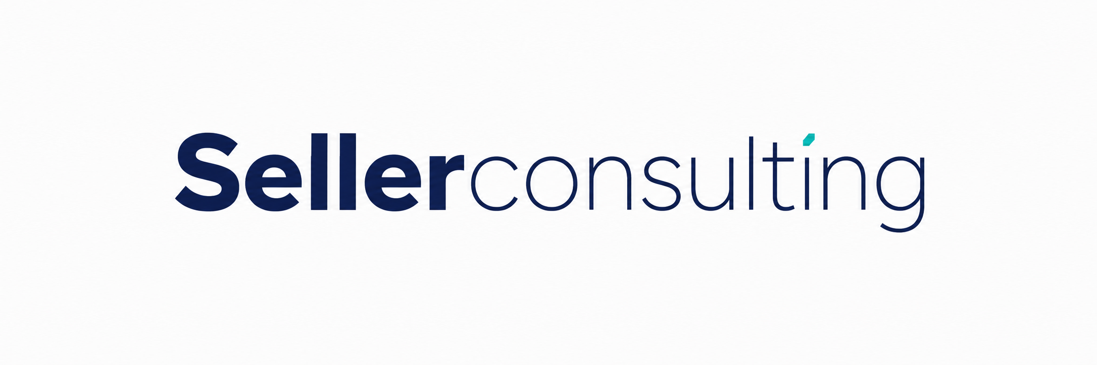 Seller Consulting